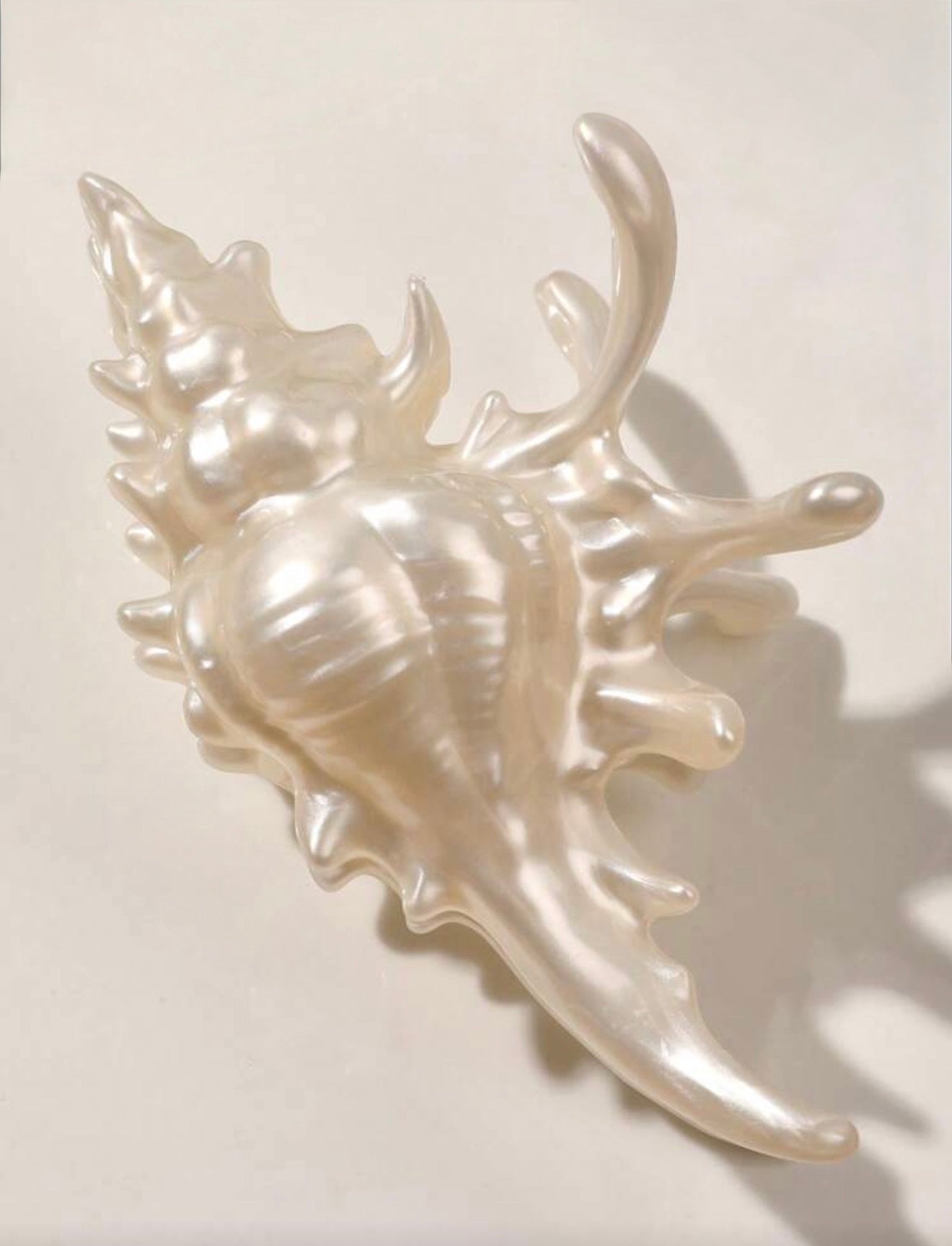 Shell Hair Clip